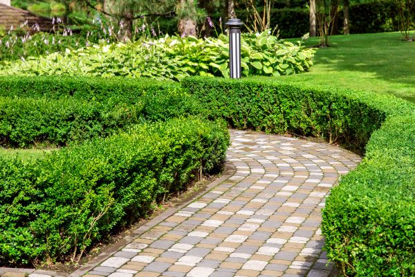 Paved Landscaping in Arroyo Grande