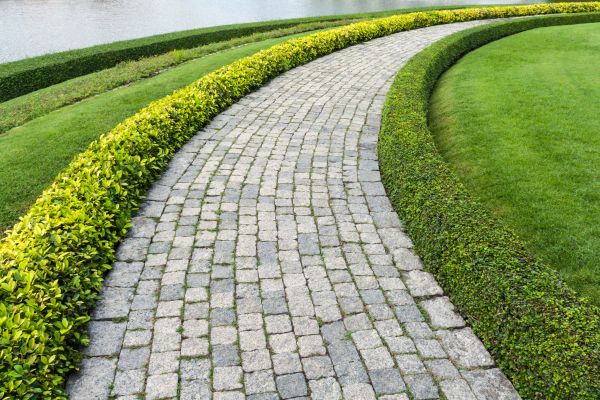 Sidewalk Pavers Installation in Arroyo Grande
