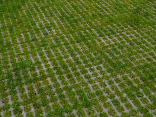Permeable Pavement Service in Arroyo Grande